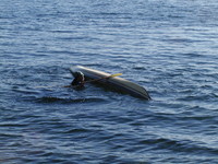 Kayak Building